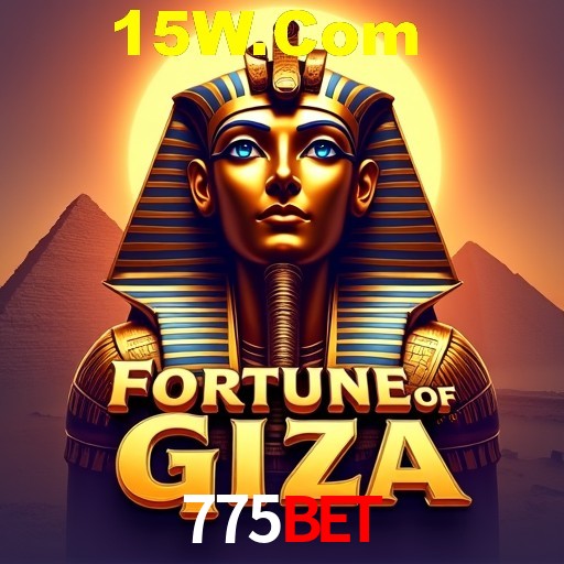 775bet Rio de Janeiro - Professional Dealers