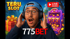 Statistics 775bet